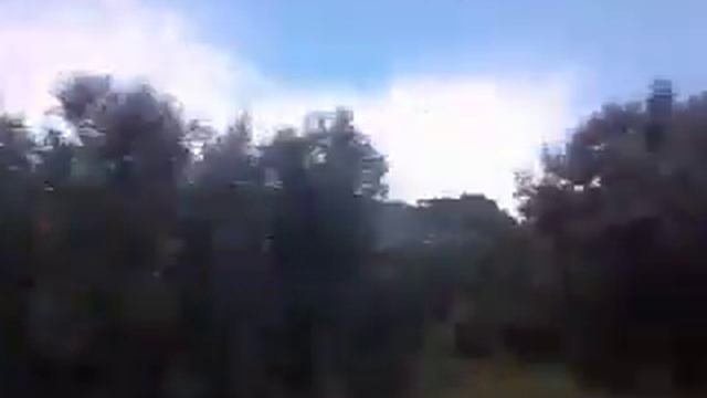 Гречиские виды ( я на море ) смотреть онлайн