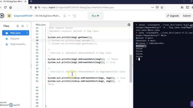 Dog Class Replit Explanation смотреть онлайн