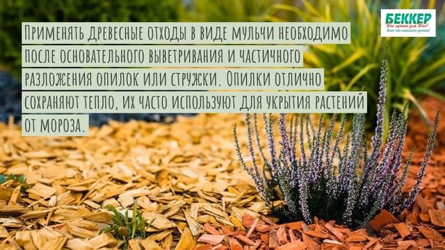Из чего сделать мульчу — советы от «Беккер» смотреть онлайн