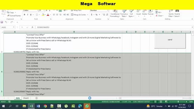 WhatsApp Excel Marketing by Mega Software смотреть онлайн
