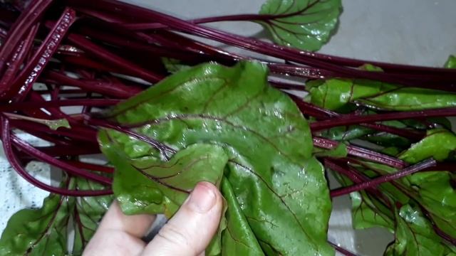 Никогда НЕ выбрасываю. Для крепкого сердца, здорового кишечника, щитовидной железы и печени. смотреть онлайн