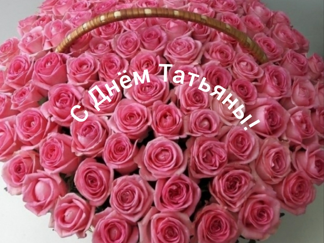 С Днём Татьяны! смотреть онлайн