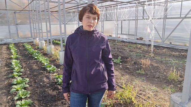 Циклантера. Школа продвинутого садовода смотреть онлайн