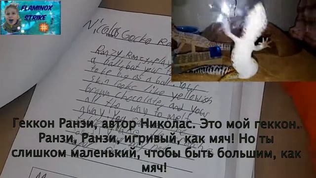 Как написать 10 стихотворений на английском? День поэзии во 2 классе американской школы смотреть онлайн