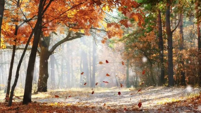 Муж сбежал от кредиторов, оставив меня с сыном наедине с незнакомцем! Душевные истории из жизни. смотреть онлайн