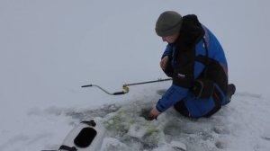 купил зимний, складной паук(подъемник) и пошел на пруд