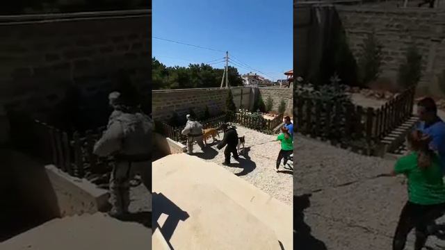 Филабразильера и САО защита в паре смотреть онлайн