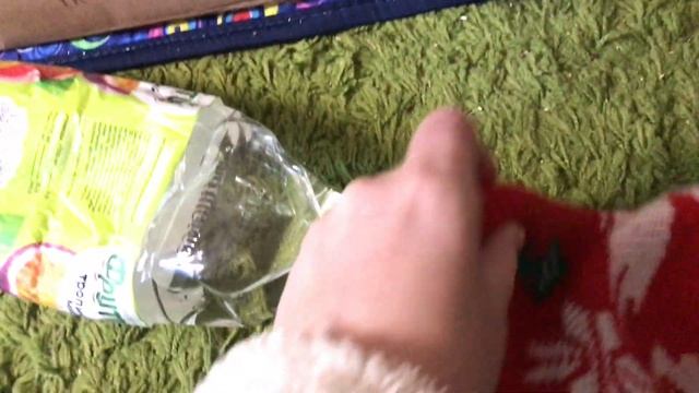 Опасные кошки-матери? Что нужно знать, после рождения котят? смотреть онлайн