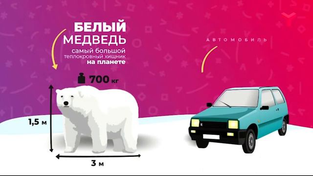 Утро с вами 11.12.2019 смотреть онлайн