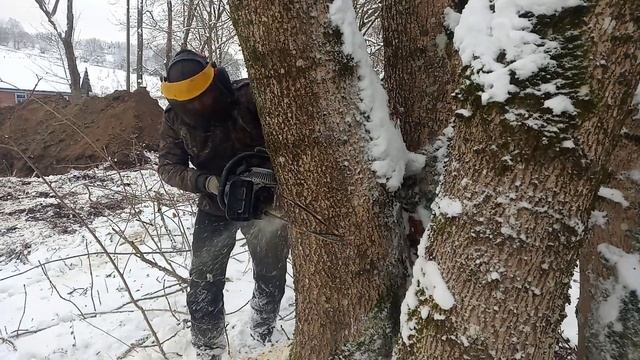 Уборка участка от деревьев смотреть онлайн
