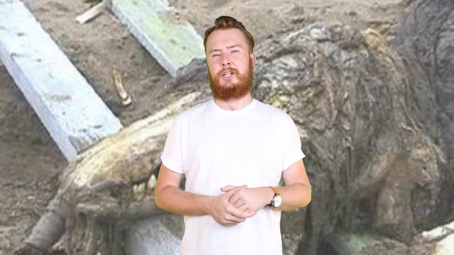 Top 10 Scariest SCP Creatures