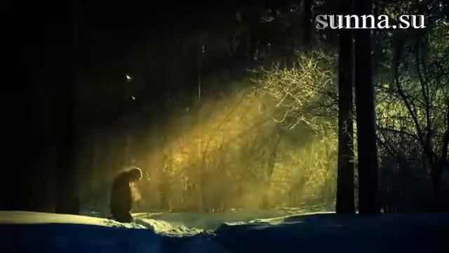 ИБН аль КАЙЙИМ - Это и есть Любовь смотреть онлайн