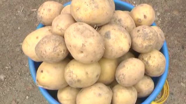 На вкус и цвет смотреть онлайн