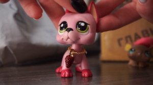 ПЛЮШЕВАЯ ИГРУШКА ОТ LPS?! (Lps распаковка посылок)