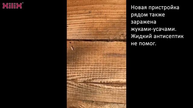 Обработка дома от короеда. Технология XILIX®GEL - гарантия 10 лет от повторного заражения! смотреть онлайн