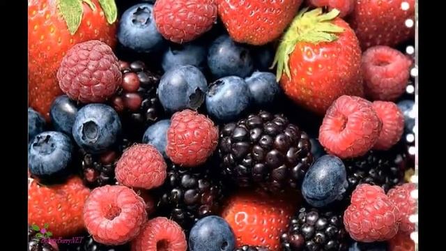 GUERLAIN La Petite Robe Noire Туалетная Вода-Спрей смотреть онлайн