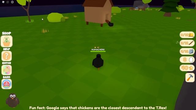 ?Bir Tavuğun Hayatı! | Chicken Life | Roblox Türkçe смотреть онлайн