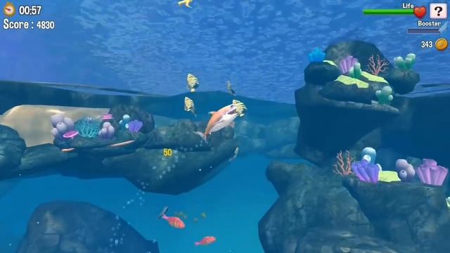 НОВЫЙ КЛОН ПОДОБИЕ HUNGRY SHARK НА АНДРОИД ЗЛОБНЫЕ АКУЛЫ ОБЗОР DOUBLE HEAD SHARK ATTACK ANDROID смотреть онлайн