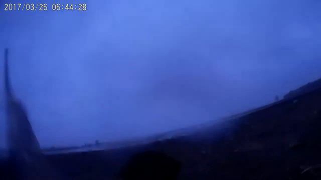 # 21 Самые классные налёты гусей!!! Охота на гусей в Беларуси. смотреть онлайн