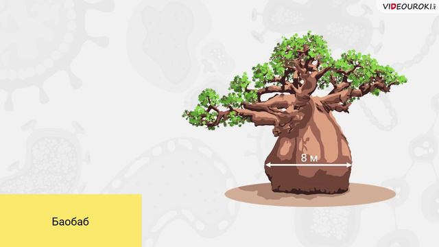 11. Взаимодействие раст. и животных с факторами окруж. среды смотреть онлайн