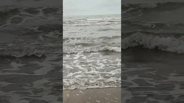 16 февраля 2019 года смотреть онлайн