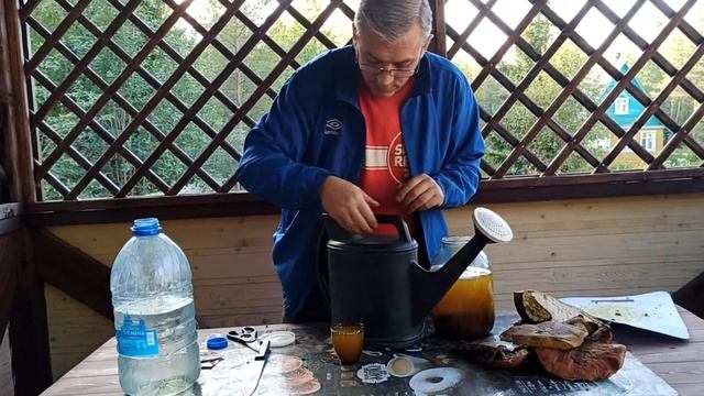 Грибная закваска для выращивания грибов на дачном участке смотреть онлайн