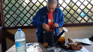 Грибная закваска для выращивания грибов на дачном участке