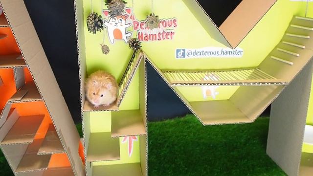 7 уровней лабиринт для Хомяка в виде надписи Hamster 🐹 смотреть онлайн