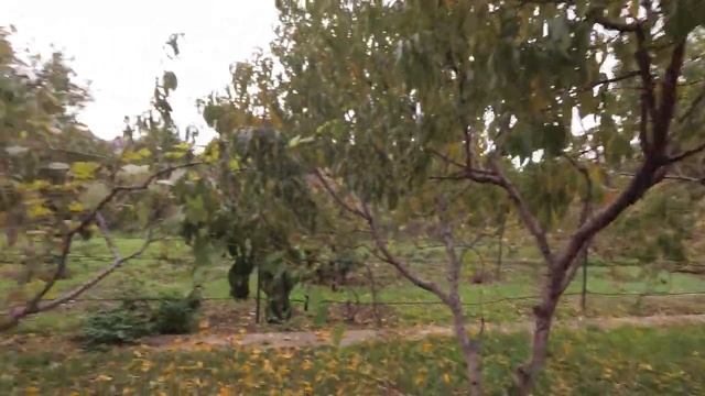 дом скульптора , осенью смотреть онлайн