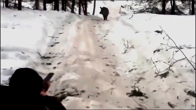 Как надо целиться, ружье видео. As it is necessary to aim, video gun. смотреть онлайн