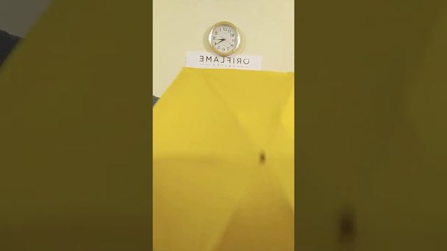 Распаковка и обзор зонта по акции активности от Орифлейм! смотреть онлайн