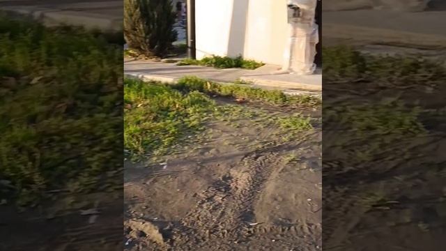 #анапа Дорожная разметка прямо на грязь!!! смотреть онлайн