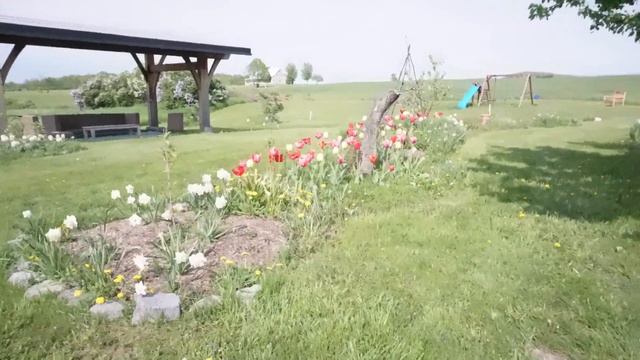 Backyard Orchard Tour | May 2023 смотреть онлайн