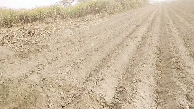 my new video ganay ke bajay ka haval sa смотреть онлайн