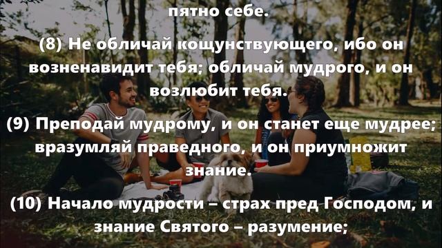 Притчи Соломона 9 глава | Сказки Суламифь смотреть онлайн