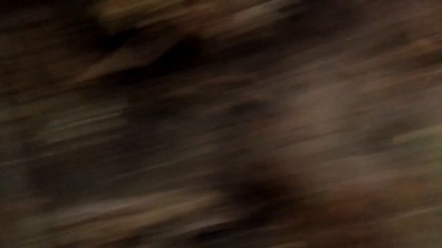 Где-то под Авдеевкой. ОШБ "СОМАЛИ" смотреть онлайн