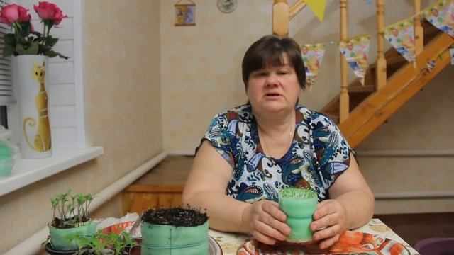 По многочисленным просьбам. Сажаем, сажаем,сажаем... смотреть онлайн