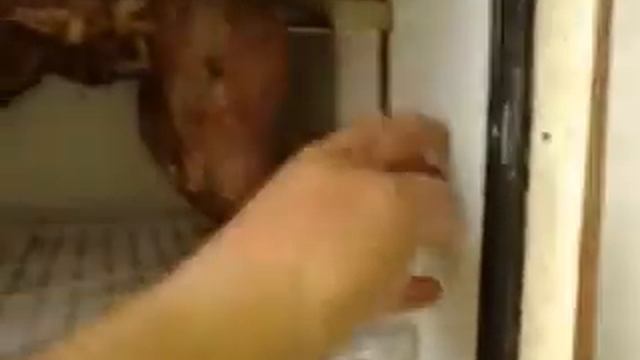 коптилка из очень старого холодильника. смотреть онлайн