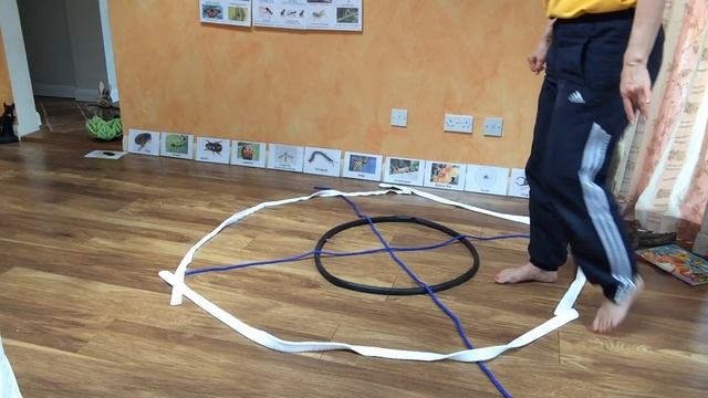 TGC HOME-NASTICS Minibeasts Balance Activity смотреть онлайн