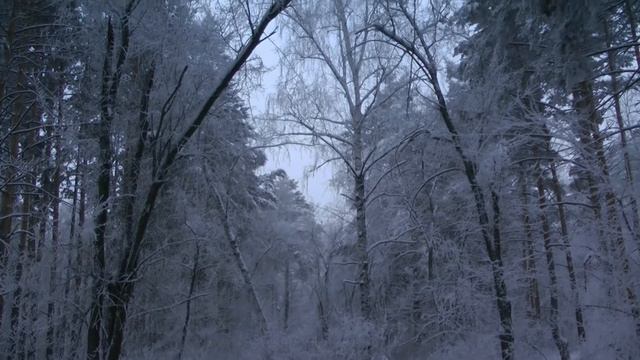 Не уходи,зима.....Ketron SD1-plus & Roland V-Synth GT смотреть онлайн