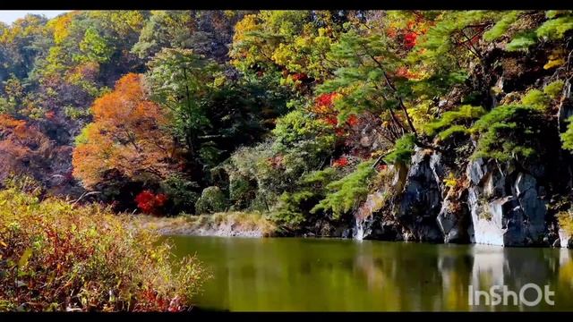 Осенняя пора, очей очарованье! Прекрасная мелодия для фона. смотреть онлайн