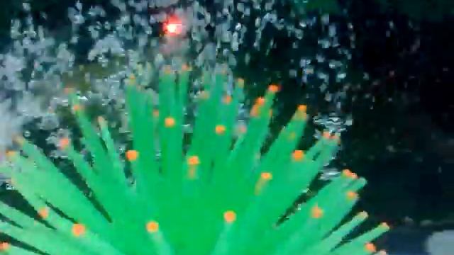zerolf: gold fish for sale смотреть онлайн