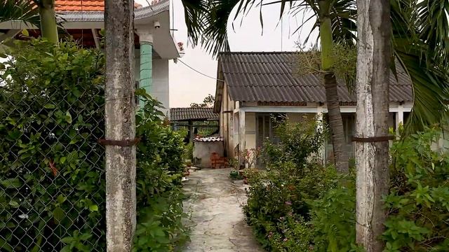 Деревня Вьетнама/Vietnamese countryside. Вьетнам 2020/ Vlog/ #вьетнам2020 #vietnam смотреть онлайн