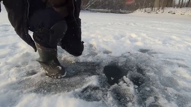 Поклевка и сход форели на поставушку в Царской рыбалке смотреть онлайн