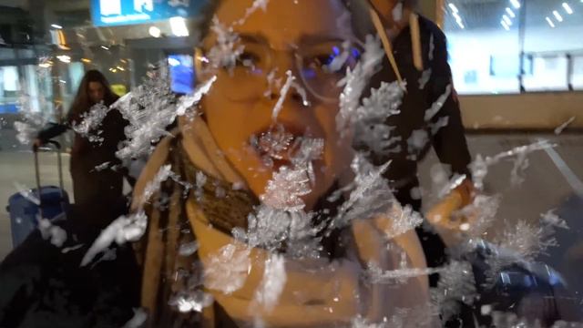 FREEZING HARBIN, MY 19TH BDAY & DISNEY TOKYO!❄🎉🇯🇵 Sophie Francis Vlog #27 смотреть онлайн
