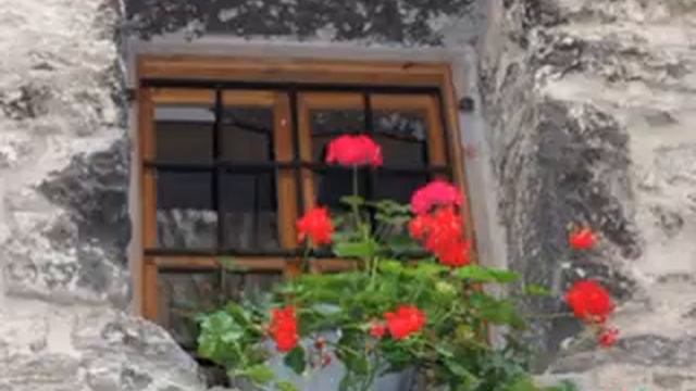 И я снова живу смотреть онлайн