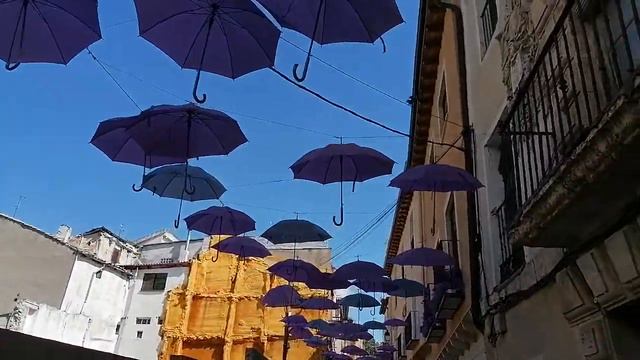 ทุ่งลาเวนเดอร์ Campo de lavanda / Lavender Fields in Spain смотреть онлайн