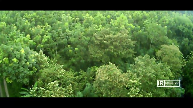 #SYMA X8HW #LATIHAN DRONE 4 смотреть онлайн