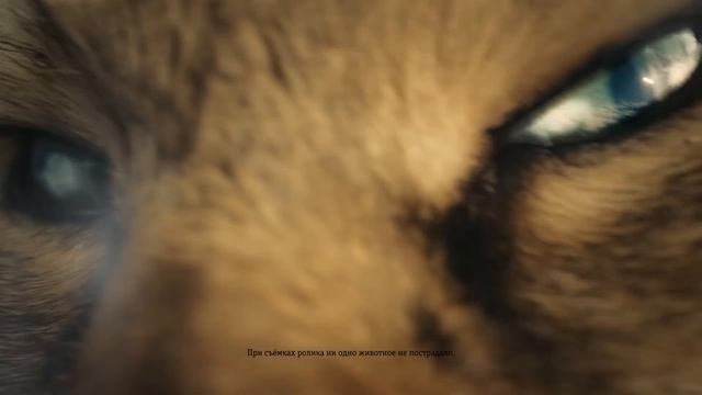 С Beeline у Вас первый по качеству мобильный интернет в Казахстане! смотреть онлайн