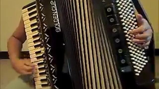 Fast Family Samba Accordion смотреть онлайн